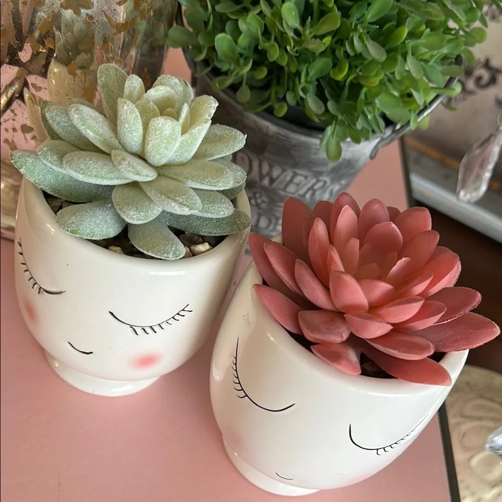 Feminine Face Planters with faux Succulents in pink and green set of two